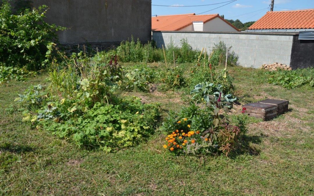 Un potager au lycée Renaudeau